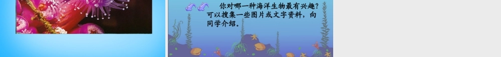 秋三年级语文上册《海底世界》课件3 沪教版-沪教版小学三年级上册语文课件