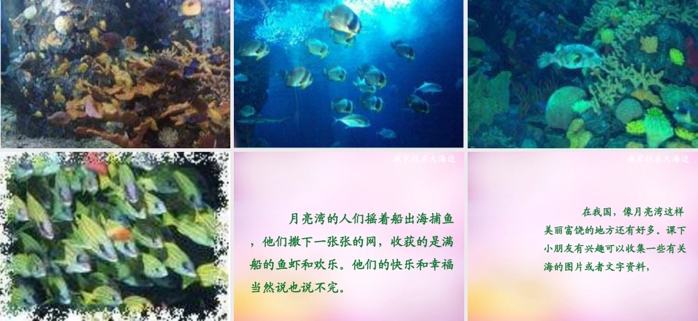 秋一年级语文上册《我家住在大海边》课件3 北师大版-北师大版小学一年级上册语文课件