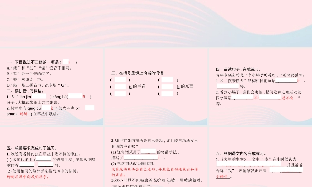 春六年级语文下册 第五单元 16 表里的生物习题课件 新人教版-新人教版小学六年级下册语文课件