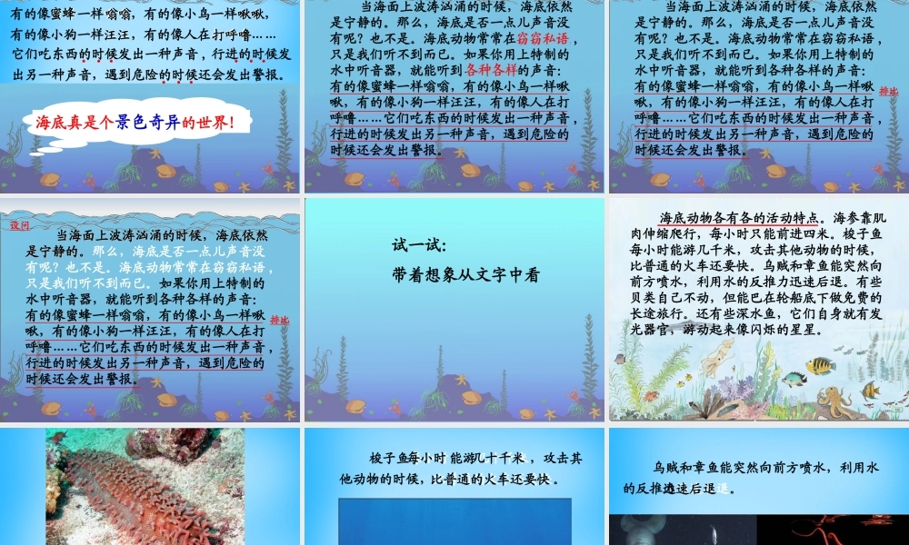 秋三年级语文上册《海底世界》课件4 沪教版-沪教版小学三年级上册语文课件