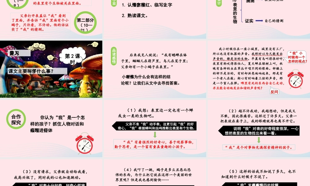 春六年级语文下册 第五单元 16表里的生物课堂教学课件 新人教版-新人教版小学六年级下册语文课件