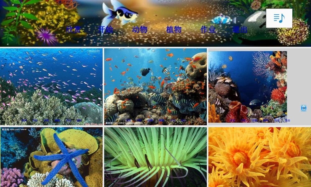 秋三年级语文上册《海底世界》课件5 北师大版-北师大版小学三年级上册语文课件