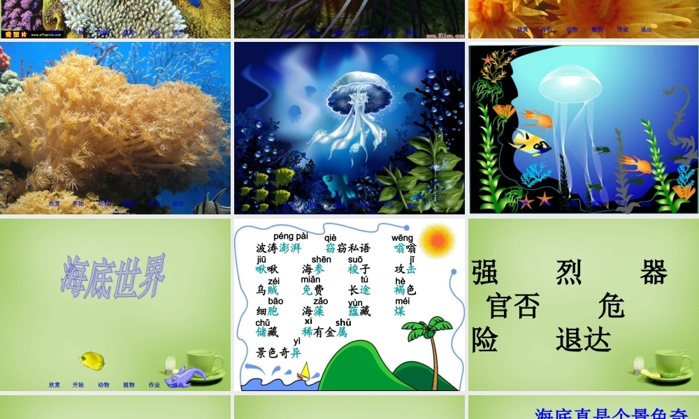 秋三年级语文上册《海底世界》课件5 北师大版-北师大版小学三年级上册语文课件