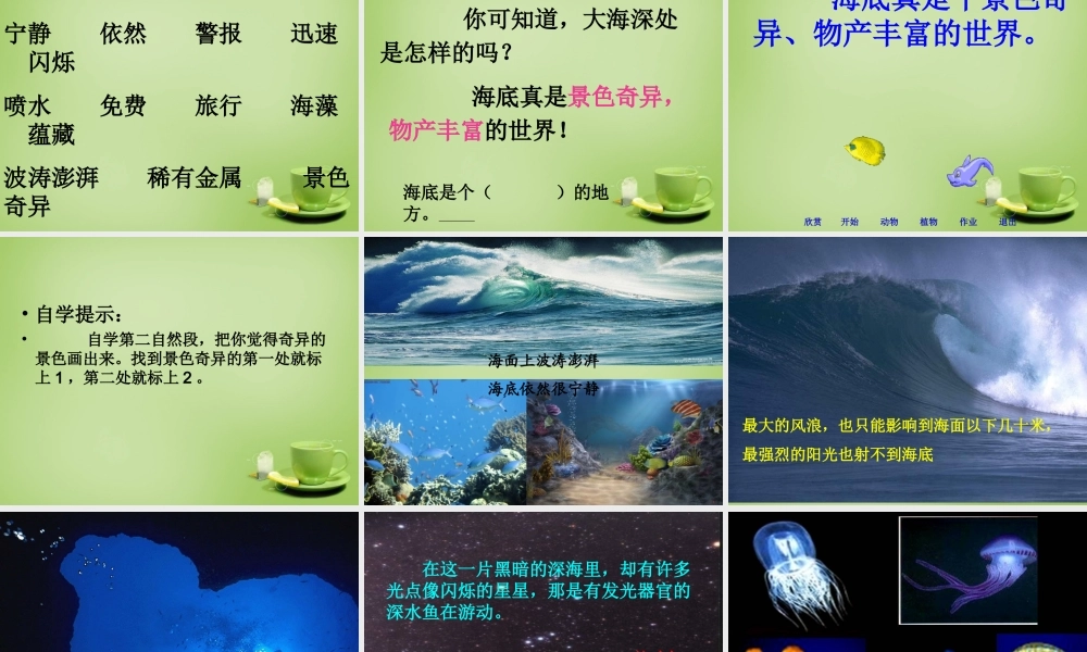 秋三年级语文上册《海底世界》课件5 北师大版-北师大版小学三年级上册语文课件