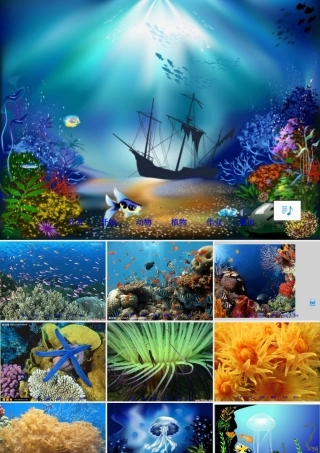 秋三年级语文上册《海底世界》课件5 北师大版-北师大版小学三年级上册语文课件