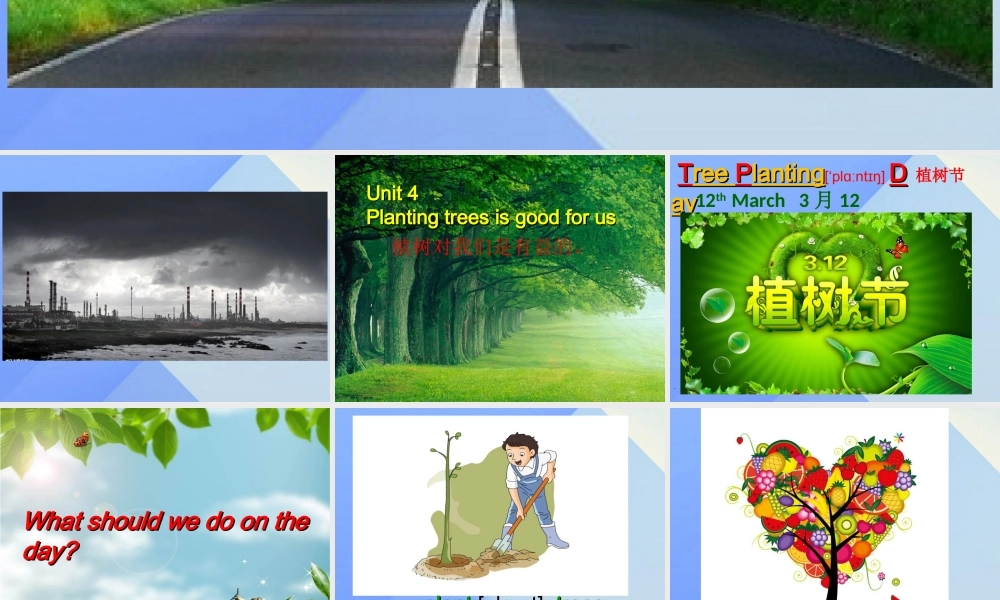 春六年级英语下册 Unit 4《Planting trees is good for us》课件4 （新版）湘少版-湘少版小学六年级下册英语课件
