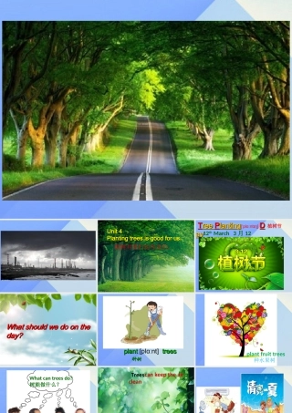 春六年级英语下册 Unit 4《Planting trees is good for us》课件4 （新版）湘少版-湘少版小学六年级下册英语课件