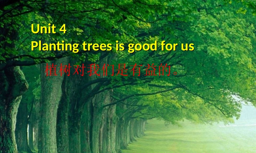 春六年级英语下册 Unit 4《Planting trees is good for us》课件5 （新版）湘少版-湘少版小学六年级下册英语课件