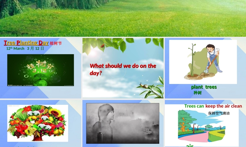 春六年级英语下册 Unit 4《Planting trees is good for us》课件5 （新版）湘少版-湘少版小学六年级下册英语课件