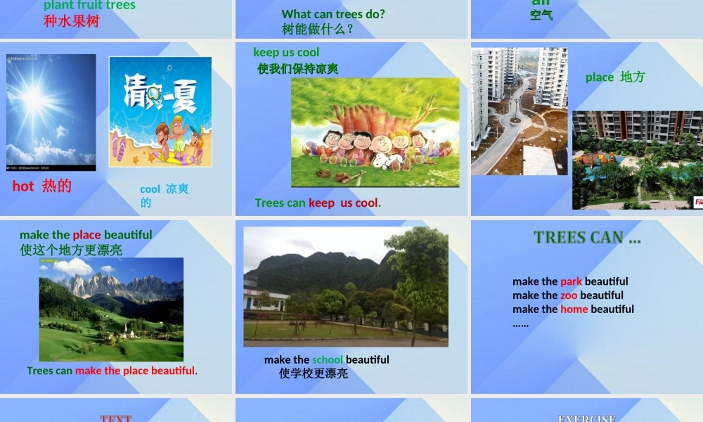 春六年级英语下册 Unit 4《Planting trees is good for us》课件5 （新版）湘少版-湘少版小学六年级下册英语课件