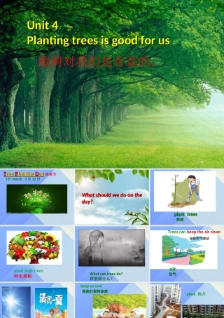 春六年级英语下册 Unit 4《Planting trees is good for us》课件5 （新版）湘少版-湘少版小学六年级下册英语课件