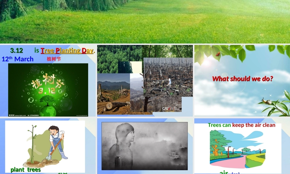 春六年级英语下册 Unit 4《Planting trees is good for us》课件6 （新版）湘少版-湘少版小学六年级下册英语课件