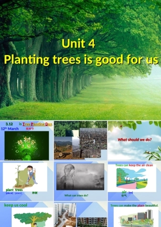 春六年级英语下册 Unit 4《Planting trees is good for us》课件6 （新版）湘少版-湘少版小学六年级下册英语课件