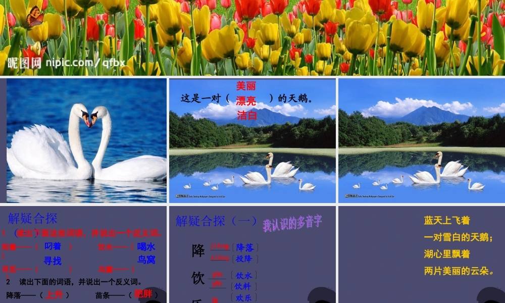 秋三年级语文上册《湖滩上，有一对天鹅》课件1 冀教版-冀教版小学三年级上册语文课件