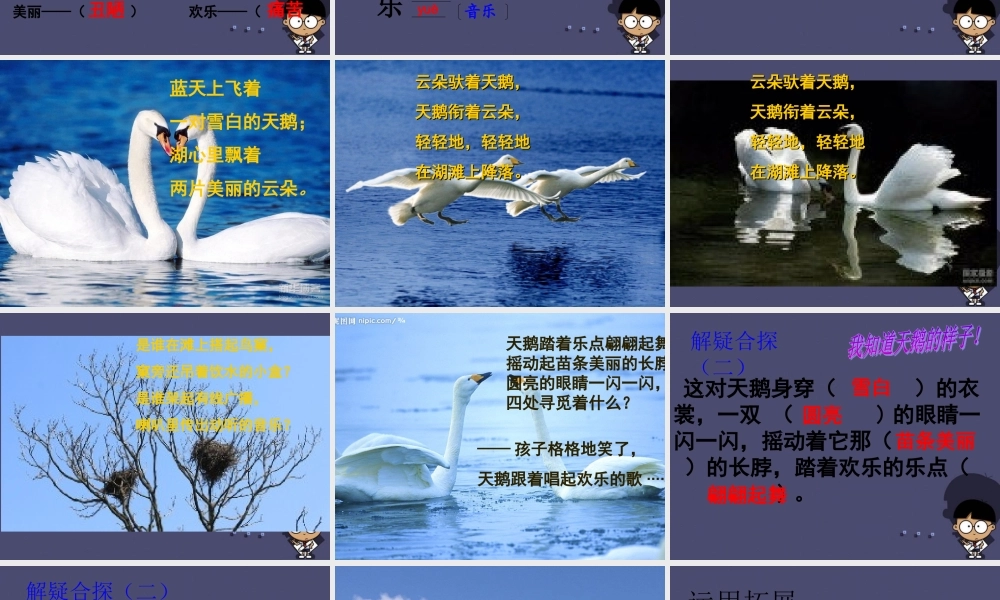 秋三年级语文上册《湖滩上，有一对天鹅》课件1 冀教版-冀教版小学三年级上册语文课件