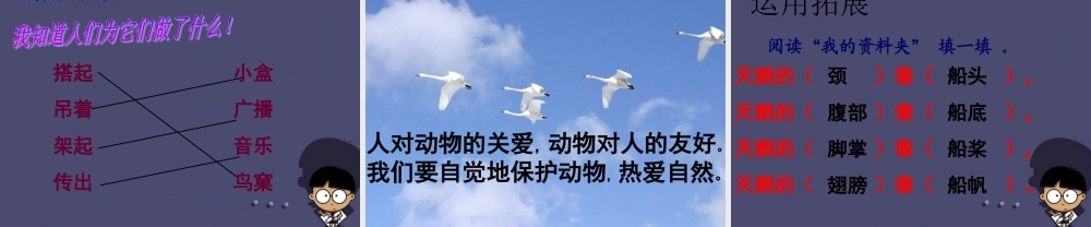 秋三年级语文上册《湖滩上，有一对天鹅》课件1 冀教版-冀教版小学三年级上册语文课件
