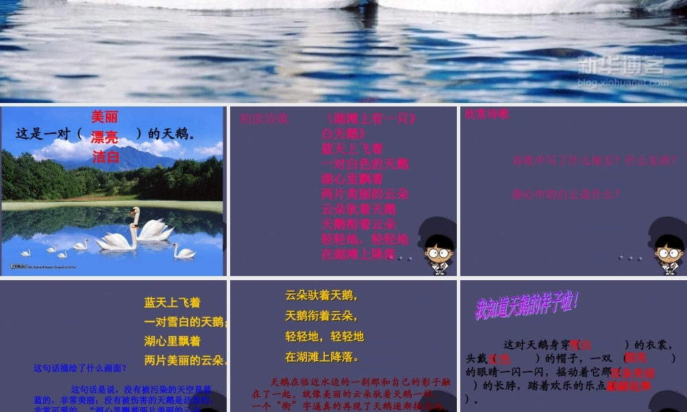 秋三年级语文上册《湖滩上，有一对天鹅》课件2 冀教版-冀教版小学三年级上册语文课件