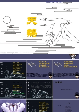 秋三年级语文上册《湖滩上，有一对天鹅》课件3 冀教版-冀教版小学三年级上册语文课件