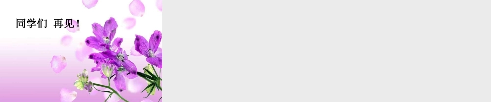 秋一年级科学上册 第13课 水变咸了课件2 青岛版六三制-青岛版小学一年级上册自然科学课件