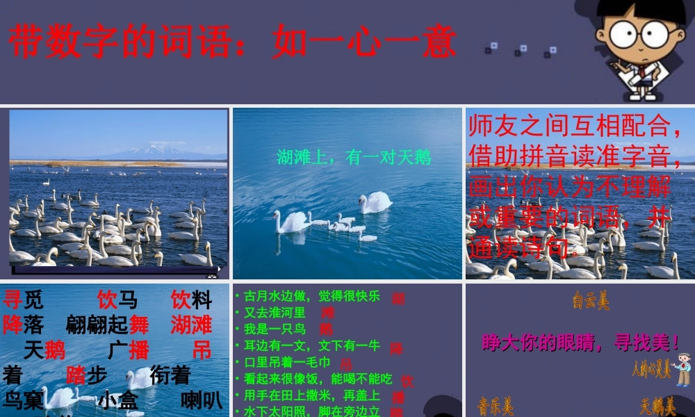 秋三年级语文上册《湖滩上，有一对天鹅》课件4 冀教版-冀教版小学三年级上册语文课件