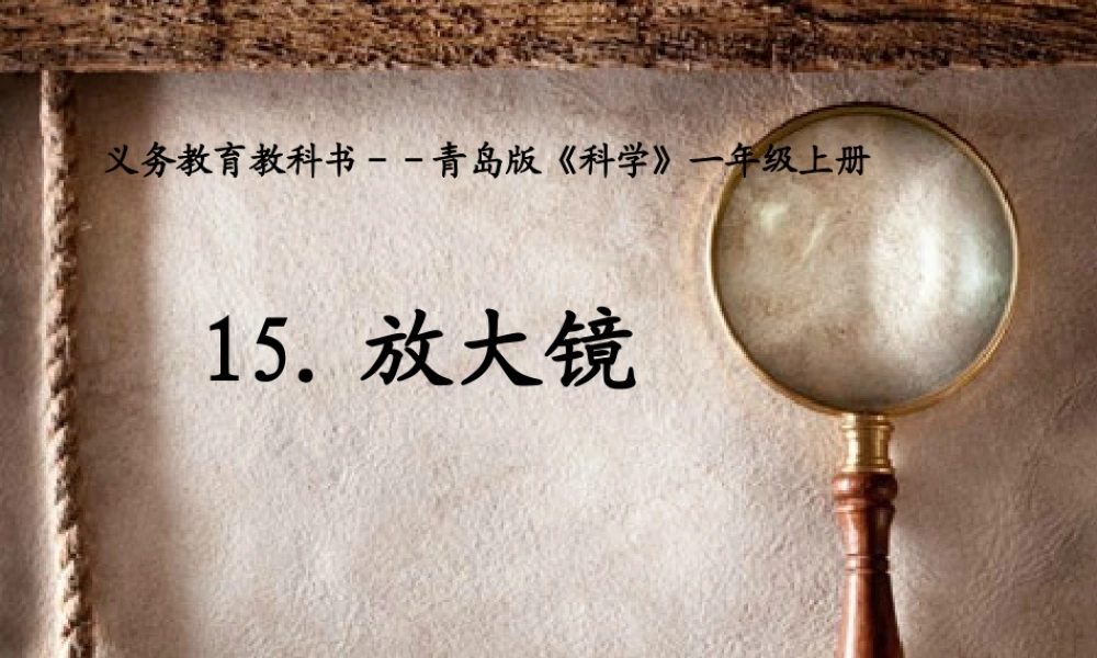 秋一年级科学上册 第15课 放大镜课件1 青岛版六三制-青岛版小学一年级上册自然科学课件