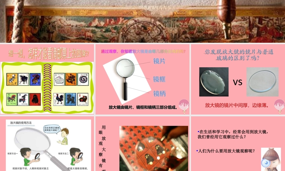 秋一年级科学上册 第15课 放大镜课件1 青岛版六三制-青岛版小学一年级上册自然科学课件
