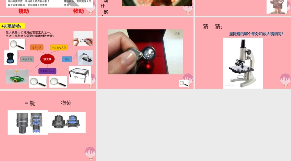 秋一年级科学上册 第15课 放大镜课件1 青岛版六三制-青岛版小学一年级上册自然科学课件