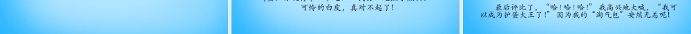 秋三年级语文上册《护蛋的故事》课件1 沪教版-沪教版小学三年级上册语文课件