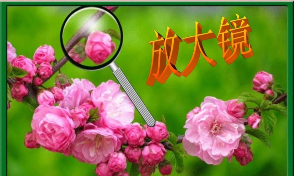 秋一年级科学上册 第15课 放大镜课件2 青岛版六三制-青岛版小学一年级上册自然科学课件