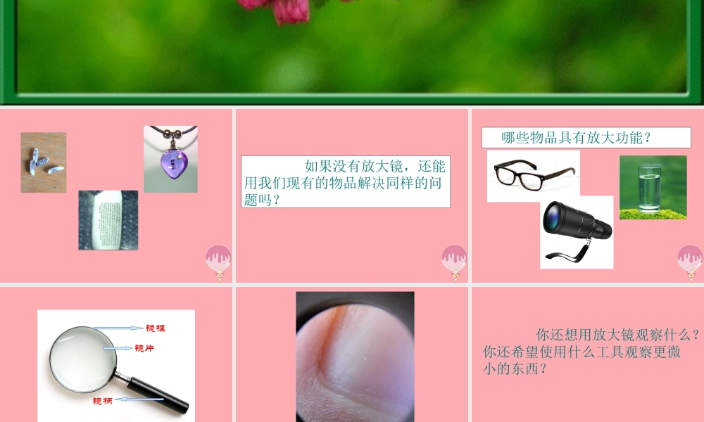 秋一年级科学上册 第15课 放大镜课件2 青岛版六三制-青岛版小学一年级上册自然科学课件