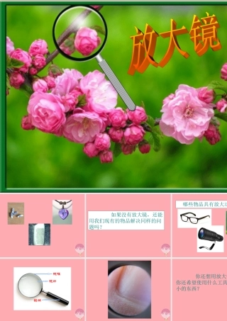 秋一年级科学上册 第15课 放大镜课件2 青岛版六三制-青岛版小学一年级上册自然科学课件