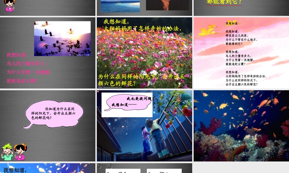 秋一年级语文上册《我想知道》课件4 冀教版-冀教版小学一年级上册语文课件