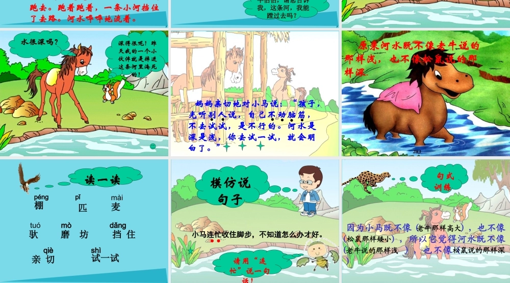 秋二年级语文上册 第10课 小马过河教学课件1 教科版-教科版小学二年级上册语文课件