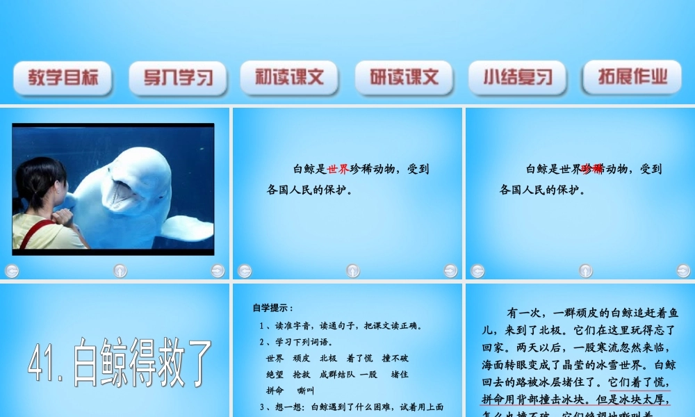 秋二年级语文上册《白鲸得救了》课件2 沪教版-沪教版小学二年级上册语文课件