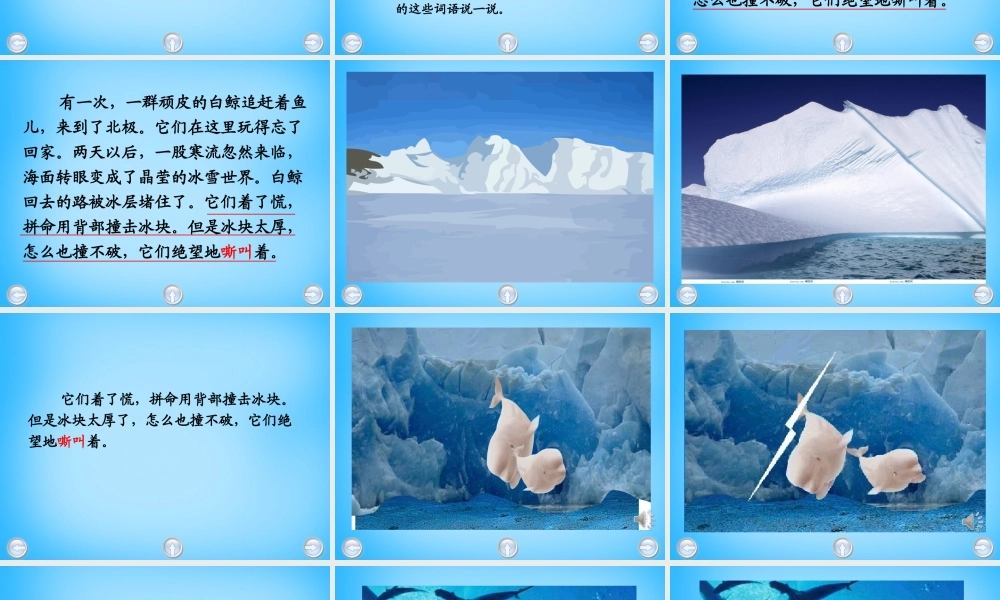 秋二年级语文上册《白鲸得救了》课件2 沪教版-沪教版小学二年级上册语文课件