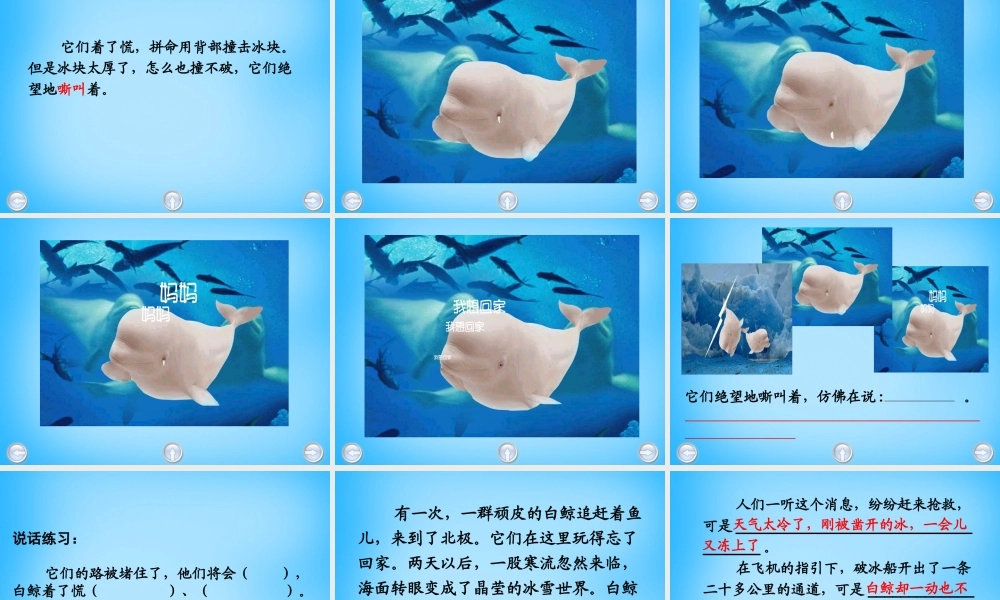 秋二年级语文上册《白鲸得救了》课件2 沪教版-沪教版小学二年级上册语文课件