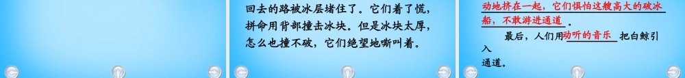秋二年级语文上册《白鲸得救了》课件2 沪教版-沪教版小学二年级上册语文课件