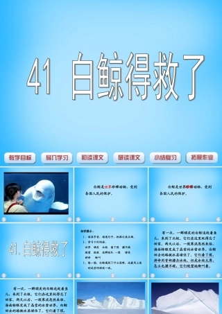 秋二年级语文上册《白鲸得救了》课件2 沪教版-沪教版小学二年级上册语文课件