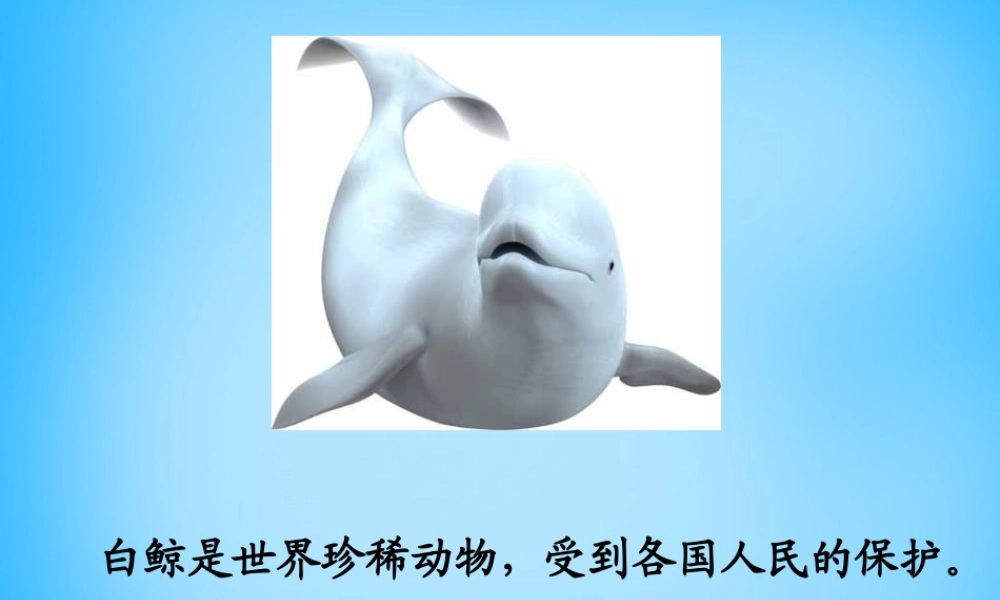 秋二年级语文上册《白鲸得救了》课件3 沪教版-沪教版小学二年级上册语文课件