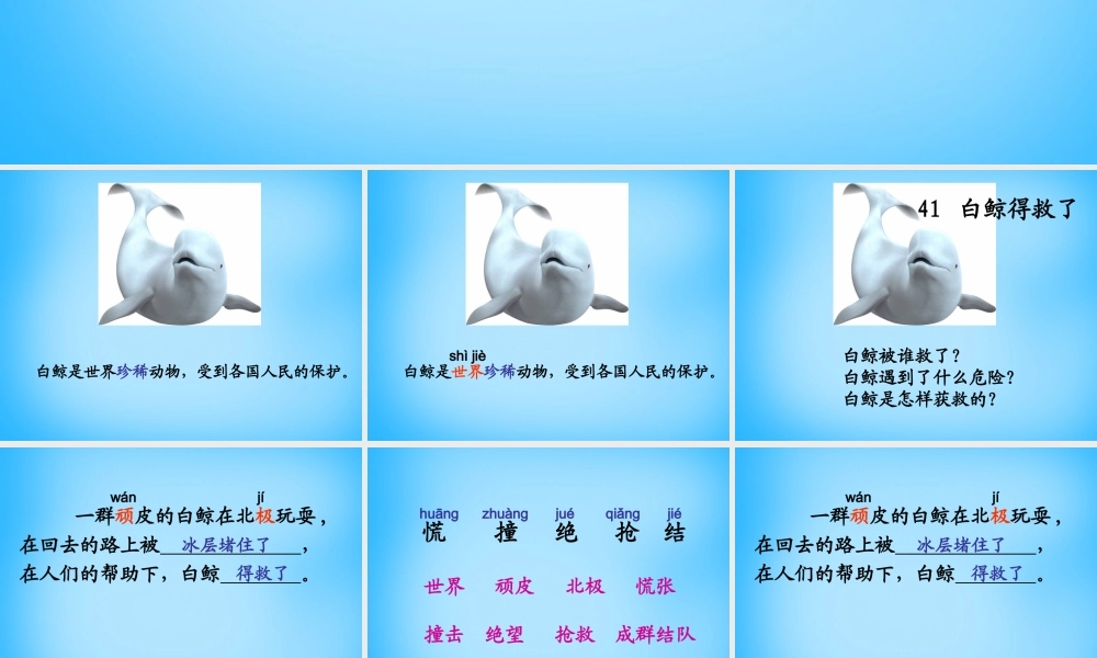 秋二年级语文上册《白鲸得救了》课件3 沪教版-沪教版小学二年级上册语文课件