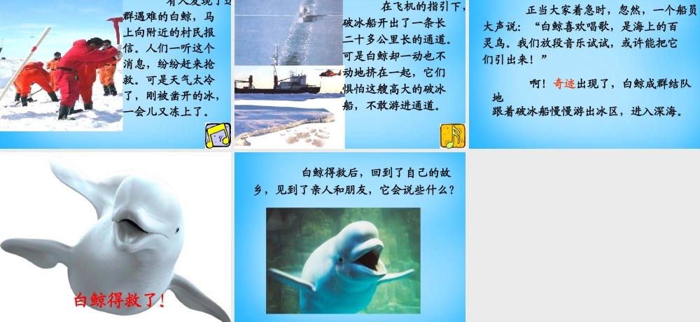 秋二年级语文上册《白鲸得救了》课件3 沪教版-沪教版小学二年级上册语文课件