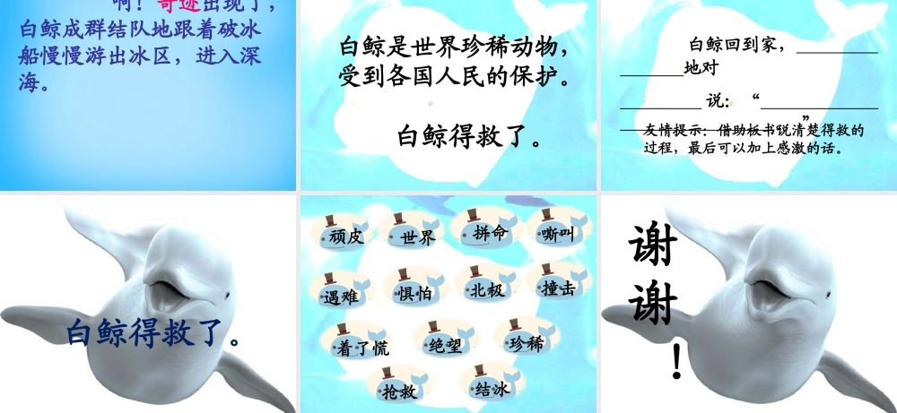 秋二年级语文上册《白鲸得救了》课件4 沪教版-沪教版小学二年级上册语文课件