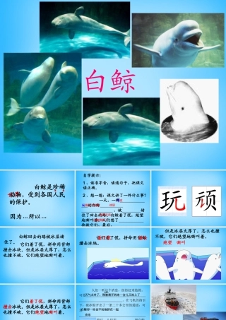 秋二年级语文上册《白鲸得救了》课件4 沪教版-沪教版小学二年级上册语文课件