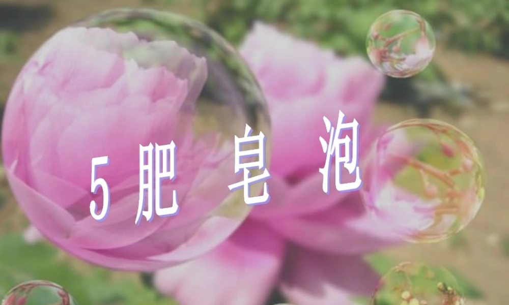 秋二年级语文上册 第11课 肥皂泡课件2 教科版-教科版小学二年级上册语文课件