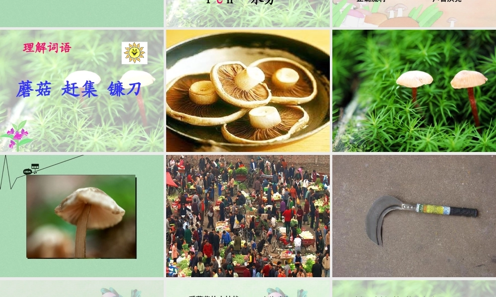 秋二年级语文上册《采蘑菇的小姑娘》课件1 冀教版-冀教版小学二年级上册语文课件