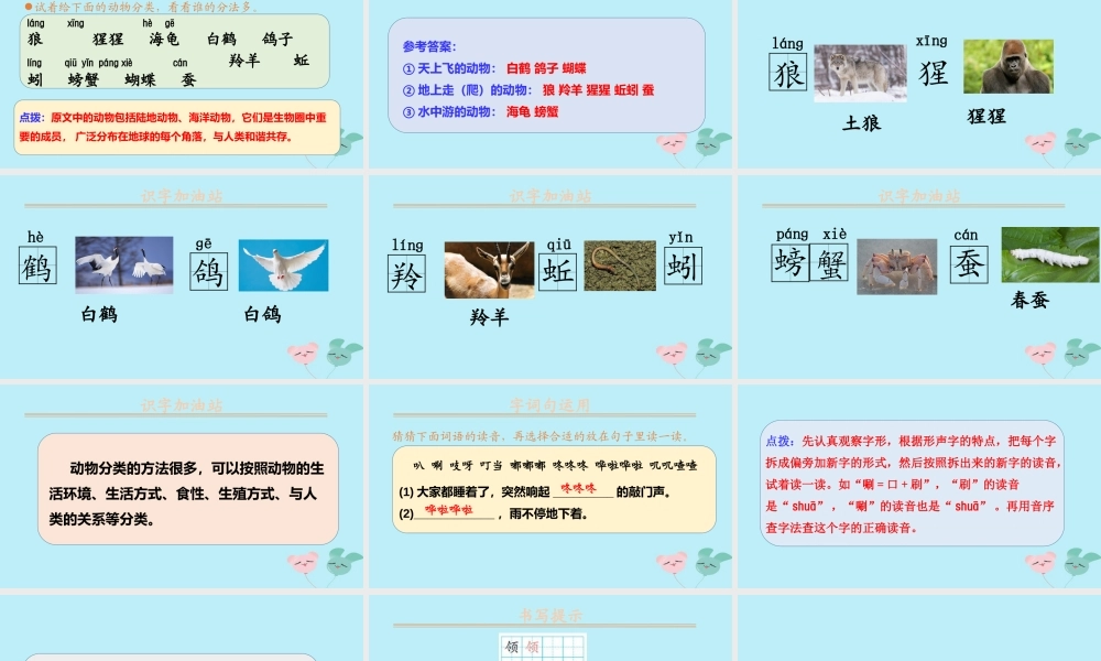 秋二年级语文上册 第八单元 课文7 语文园地八教学课件 新人教版-新人教版小学二年级上册语文课件