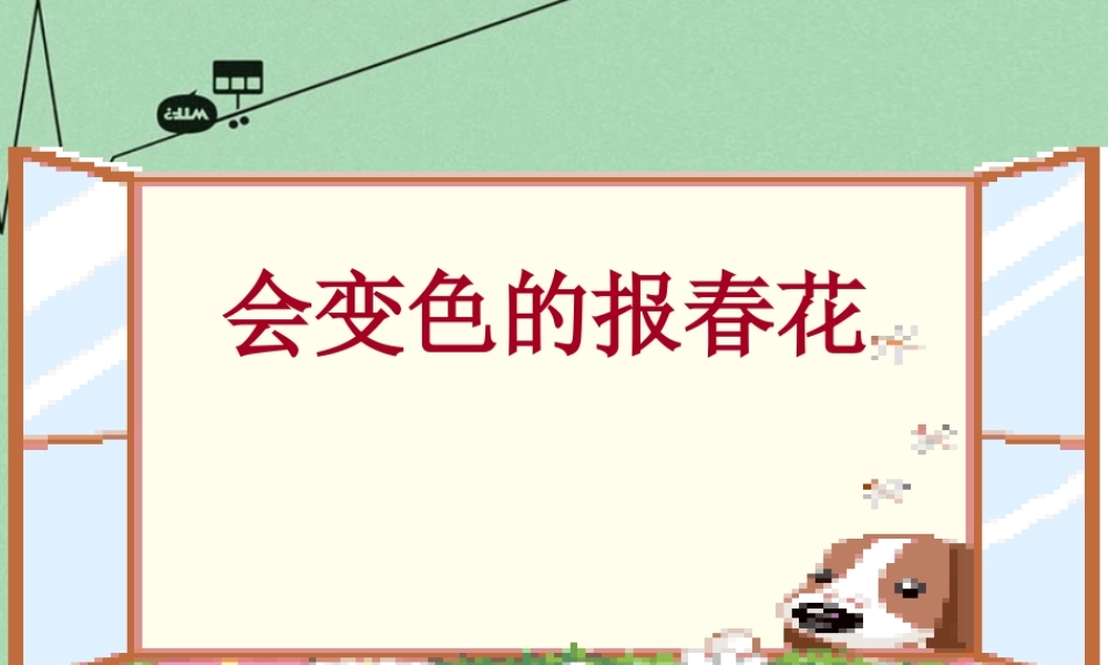 秋三年级语文上册《会变色的报春花》课件1 冀教版-冀教版小学三年级上册语文课件