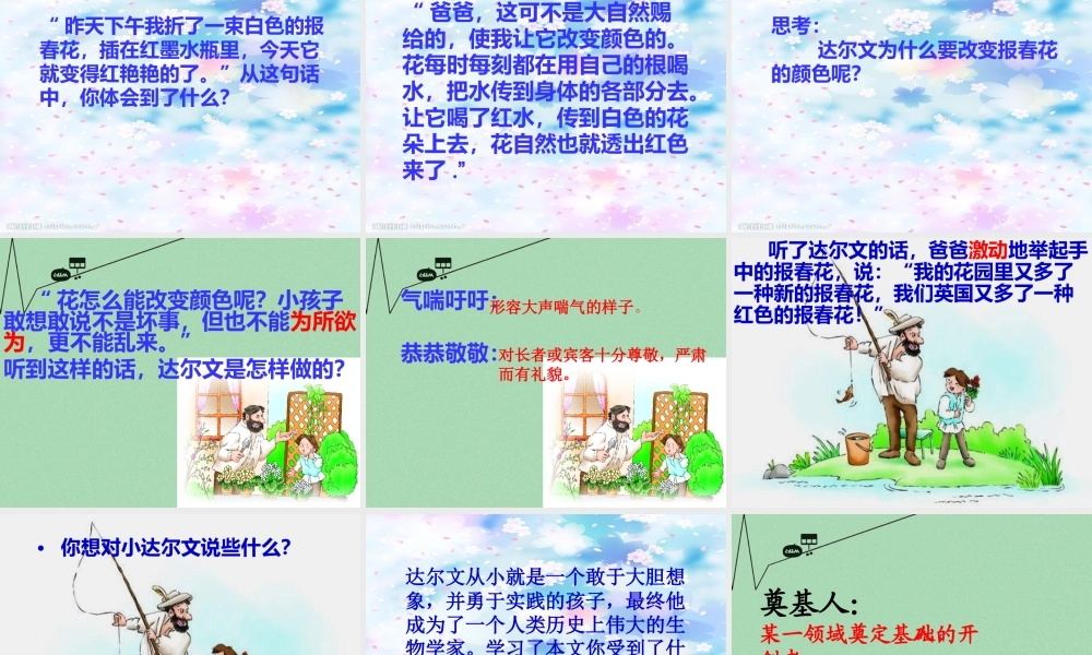 秋三年级语文上册《会变色的报春花》课件1 冀教版-冀教版小学三年级上册语文课件