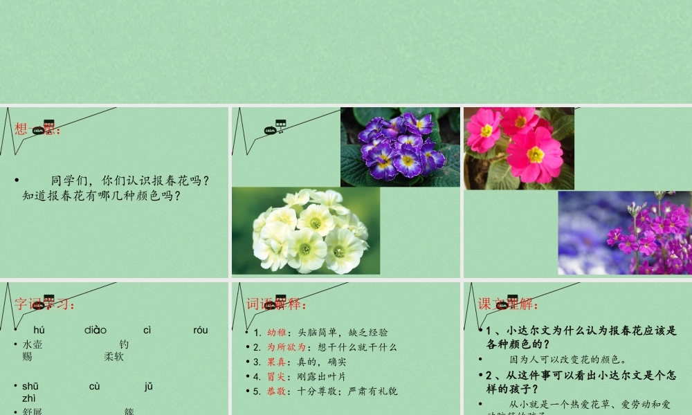 秋三年级语文上册《会变色的报春花》课件3 冀教版-冀教版小学三年级上册语文课件