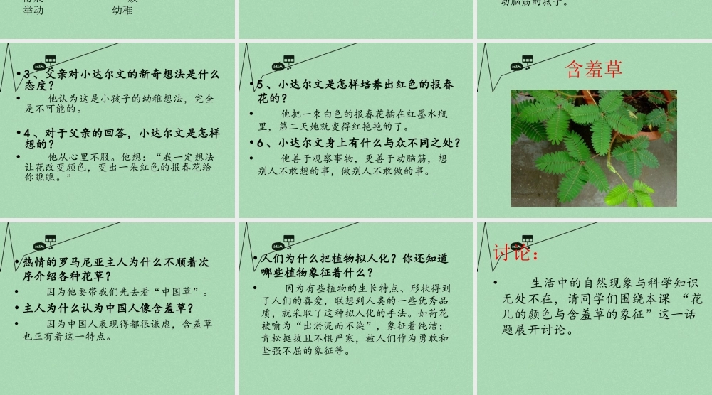 秋三年级语文上册《会变色的报春花》课件3 冀教版-冀教版小学三年级上册语文课件